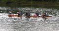 20150627 ICR-239